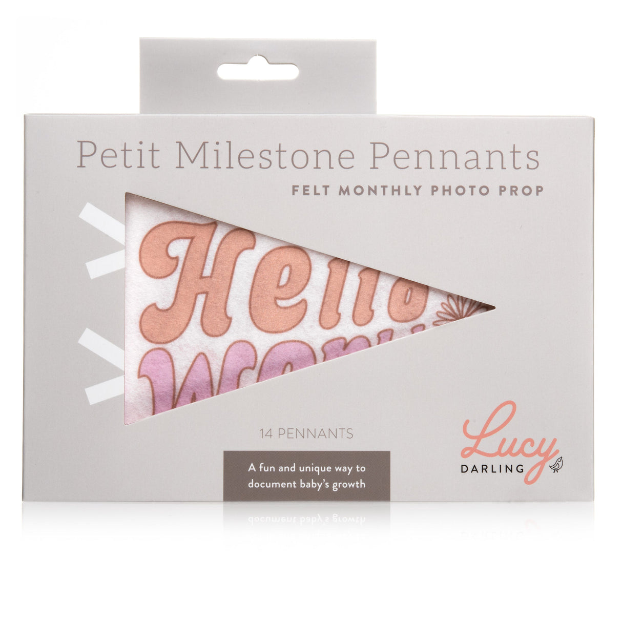 Flower Child Petit Milestone Pennant - HoneyBug