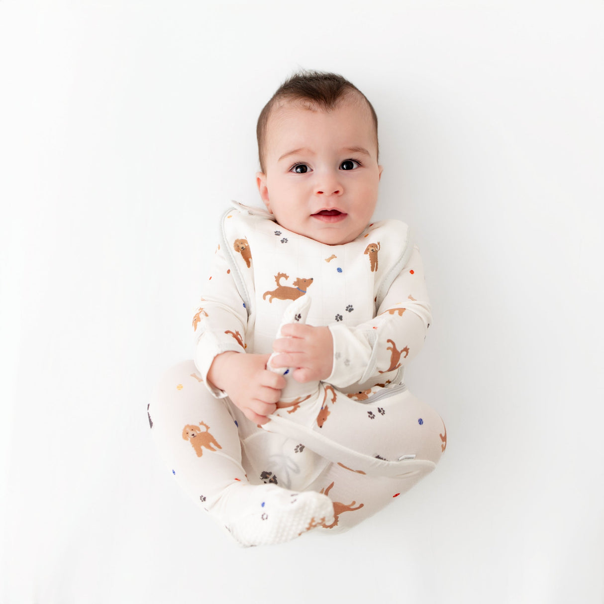 Dogs Bib Set - HoneyBug