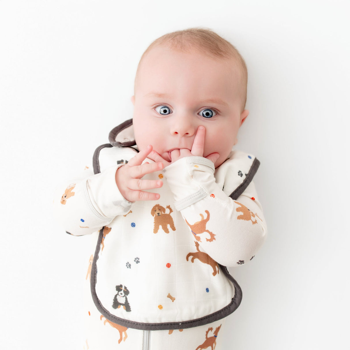 Dogs Bib Set - HoneyBug