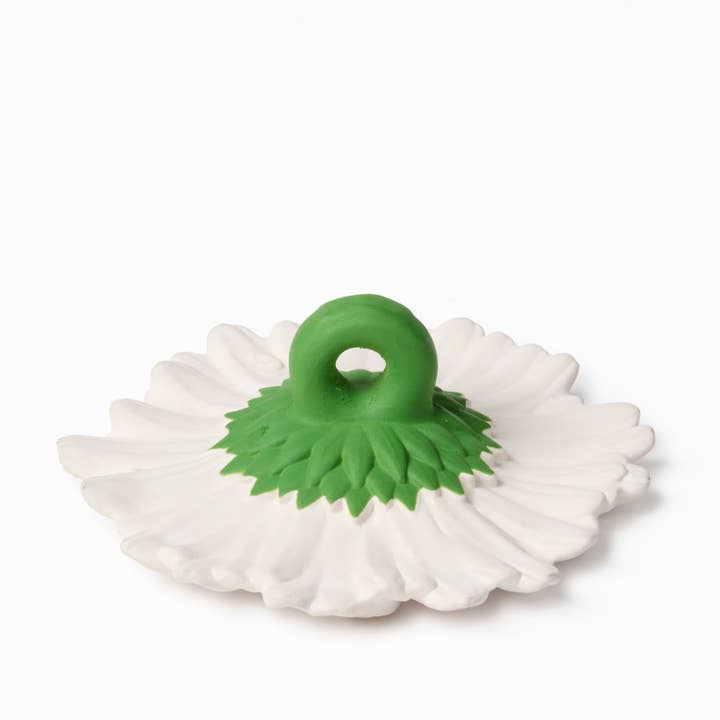 Margarita the Daisy - HoneyBug