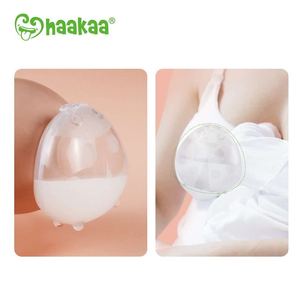 Haakaa Ladybug Silicone Milk Collector 5 oz/150 ml - HoneyBug