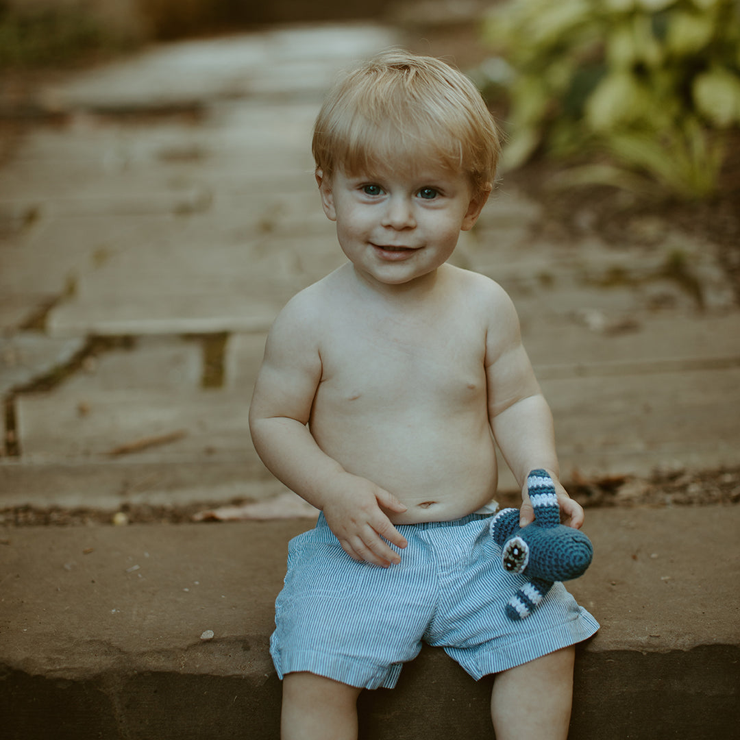 Blue Airplane Rattle - HoneyBug