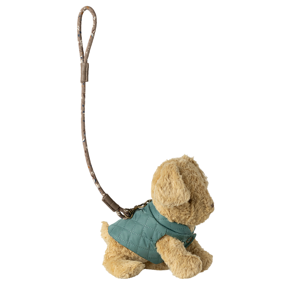 Pet supply, Harness and leash - Dark mint