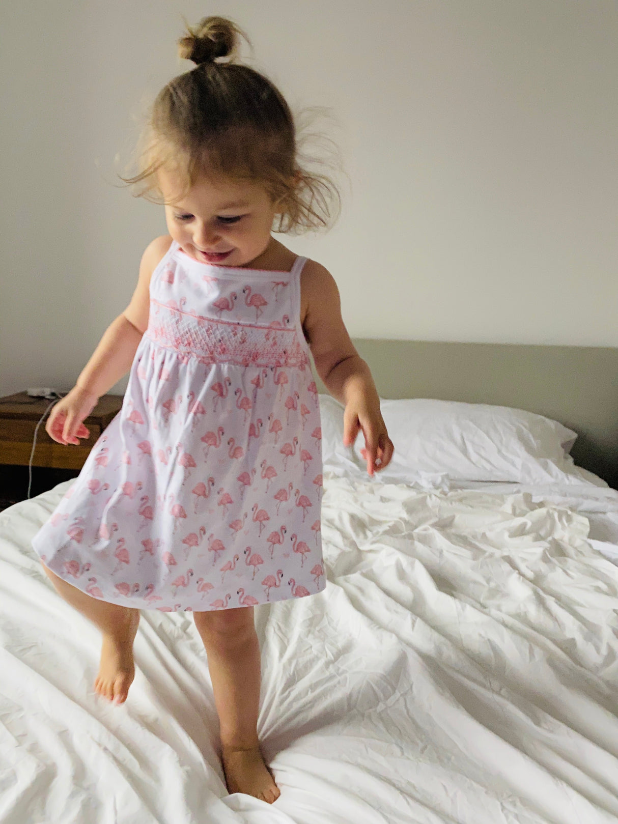 Pink Flamingo Smocked Dress - HoneyBug