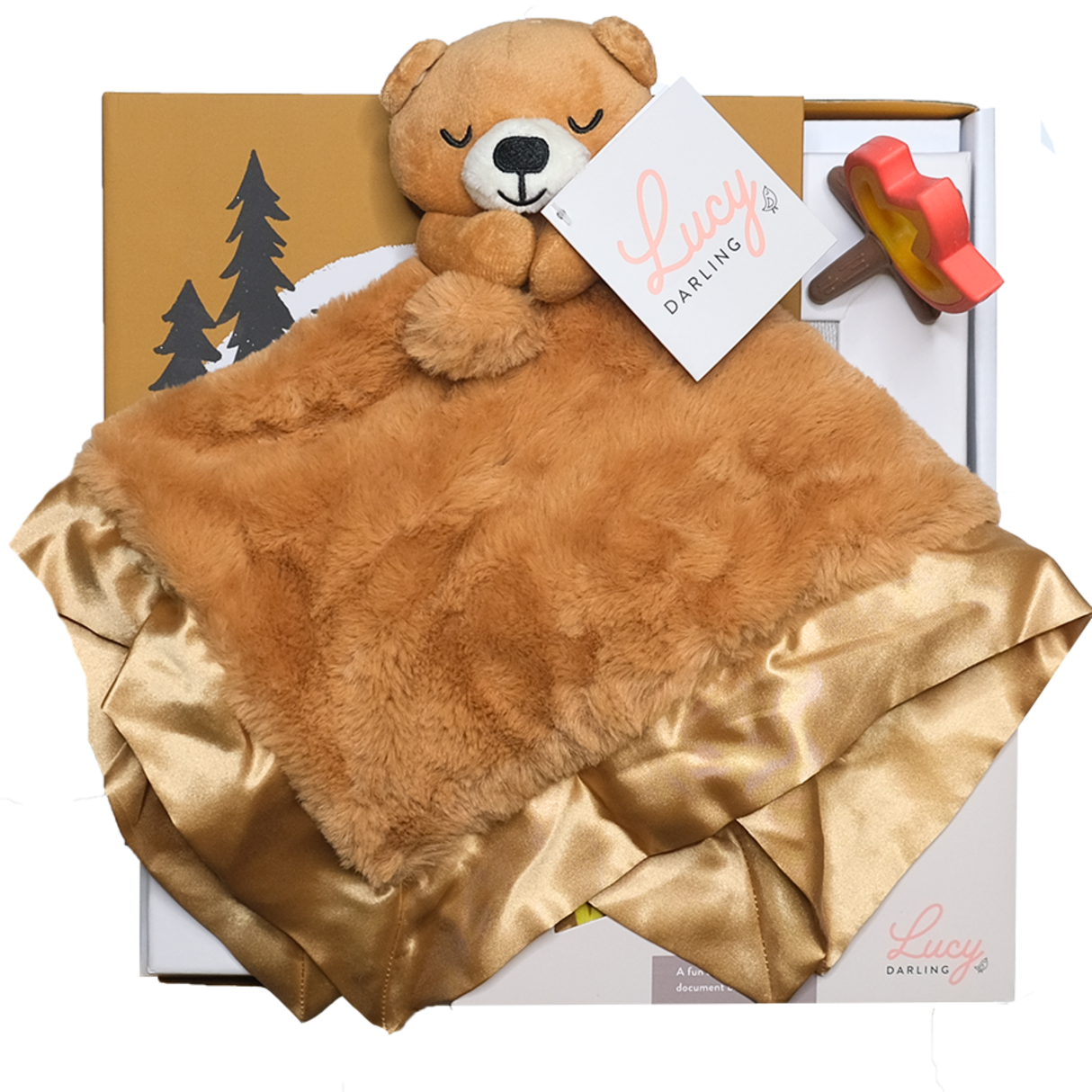 Baby Bear Gift Box - HoneyBug