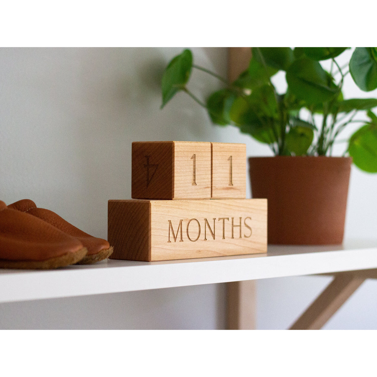 Modern Wooden Milestone Blocks - HoneyBug