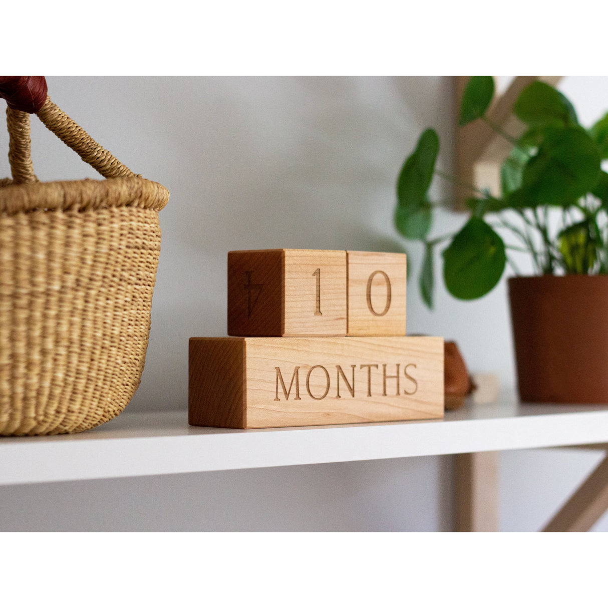 Modern Wooden Milestone Blocks - HoneyBug