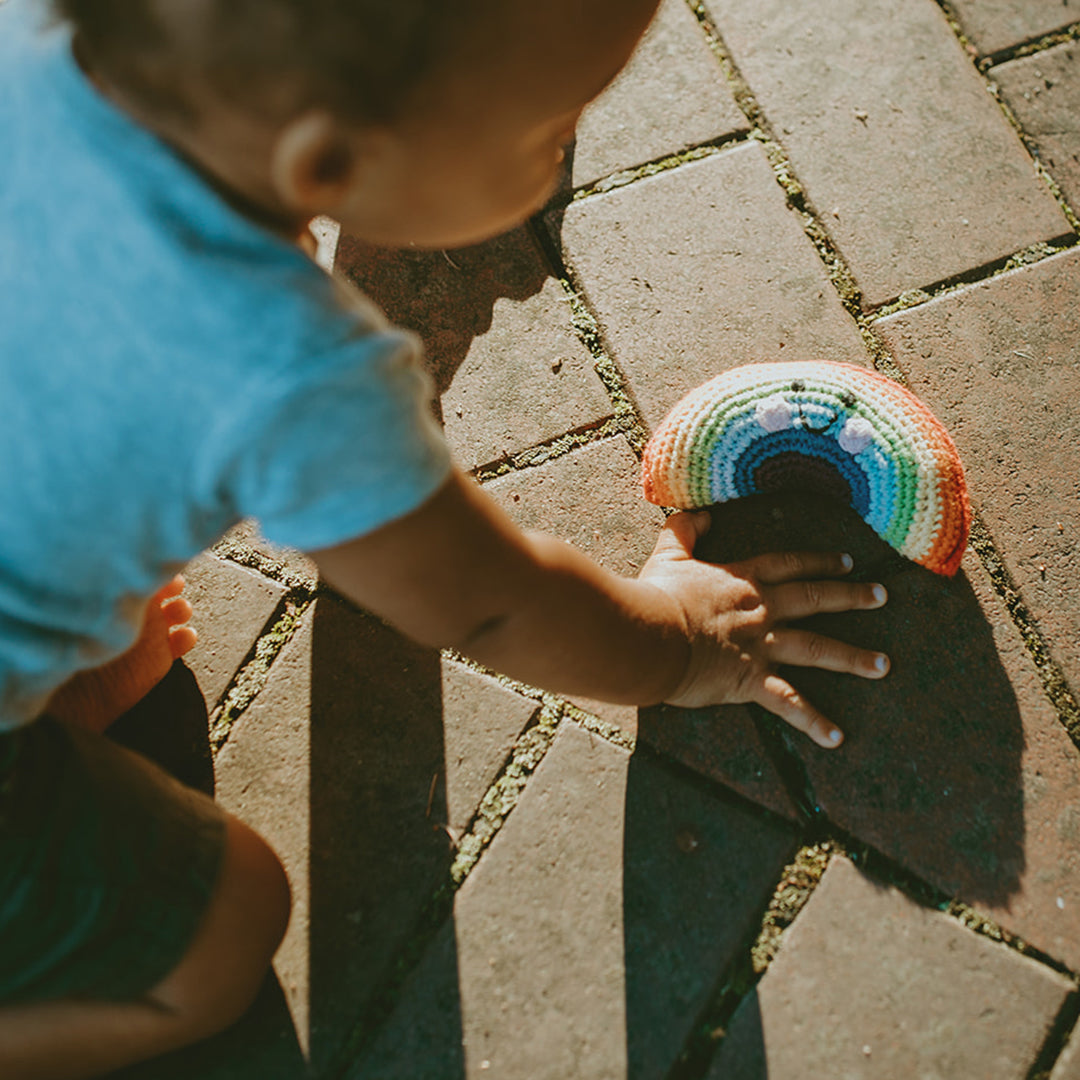 Friendly Rainbow Rattle - HoneyBug