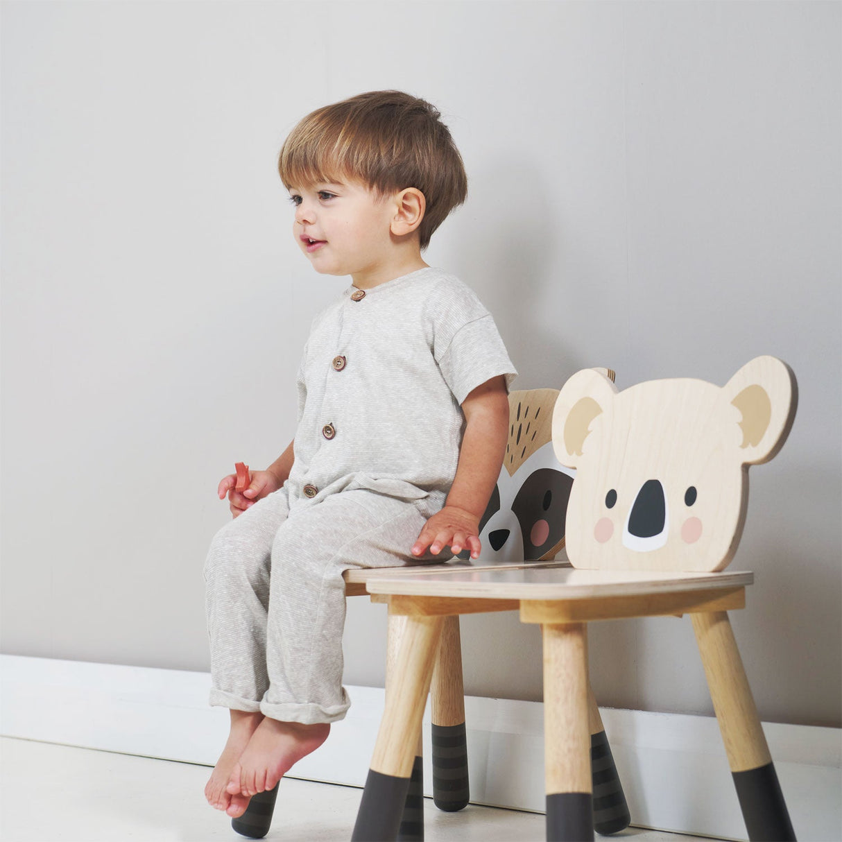 Forest Koala Chair - HoneyBug