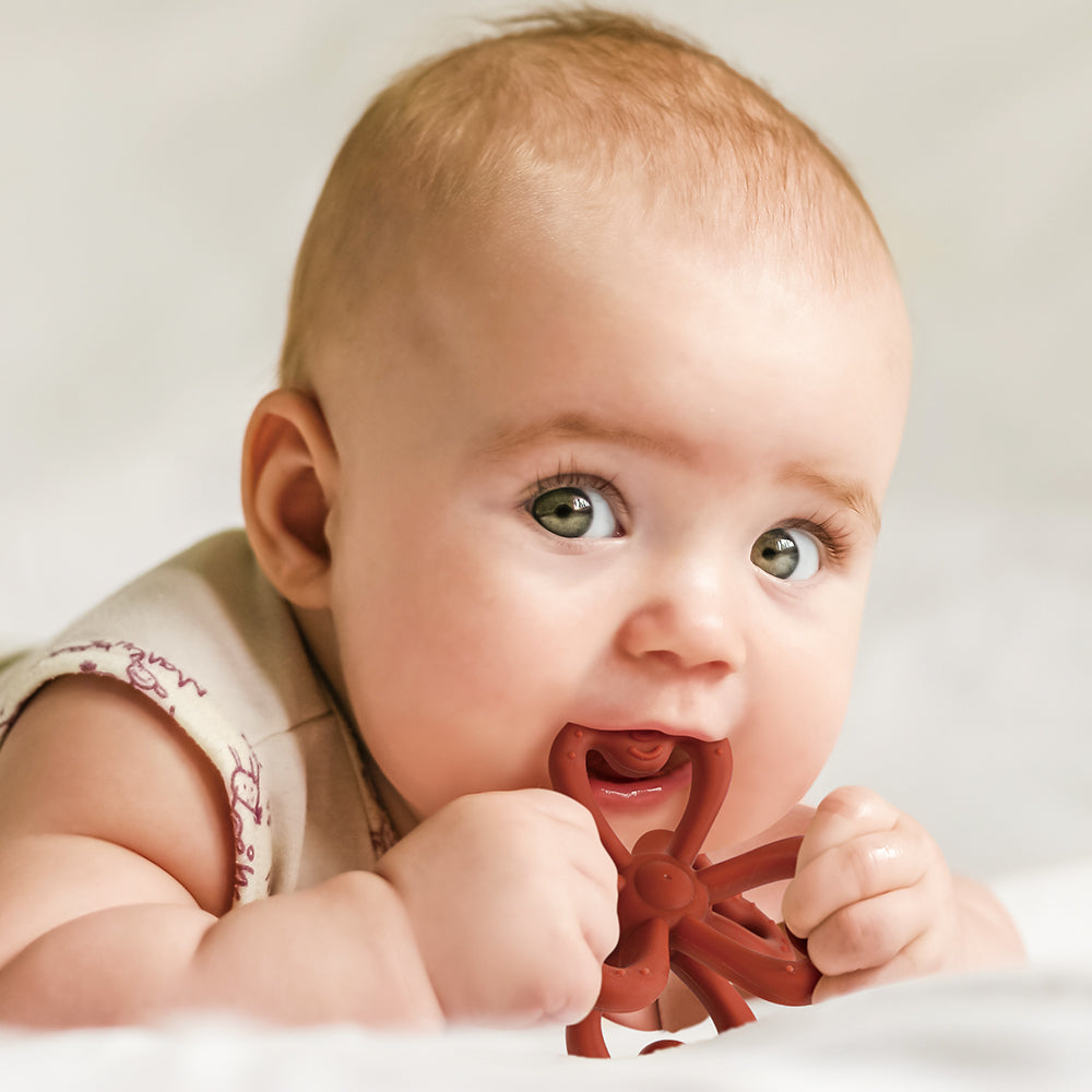 Haakaa Silicone Clover Teether 1 PK - HoneyBug