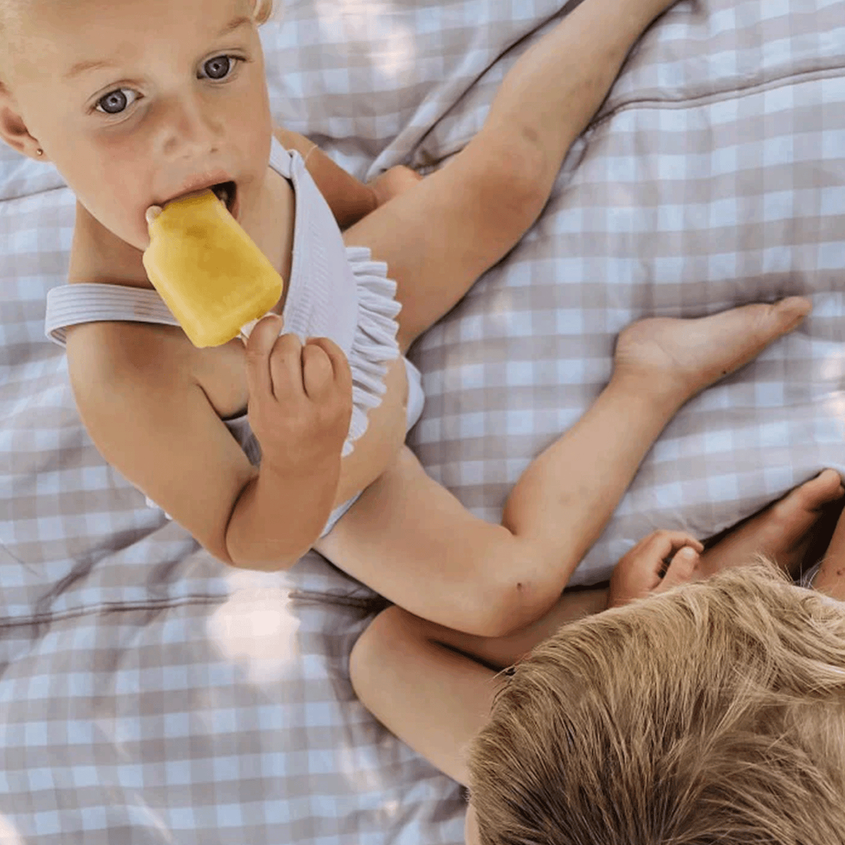 Outdoor Blanket - Beige Buffalo Check - HoneyBug