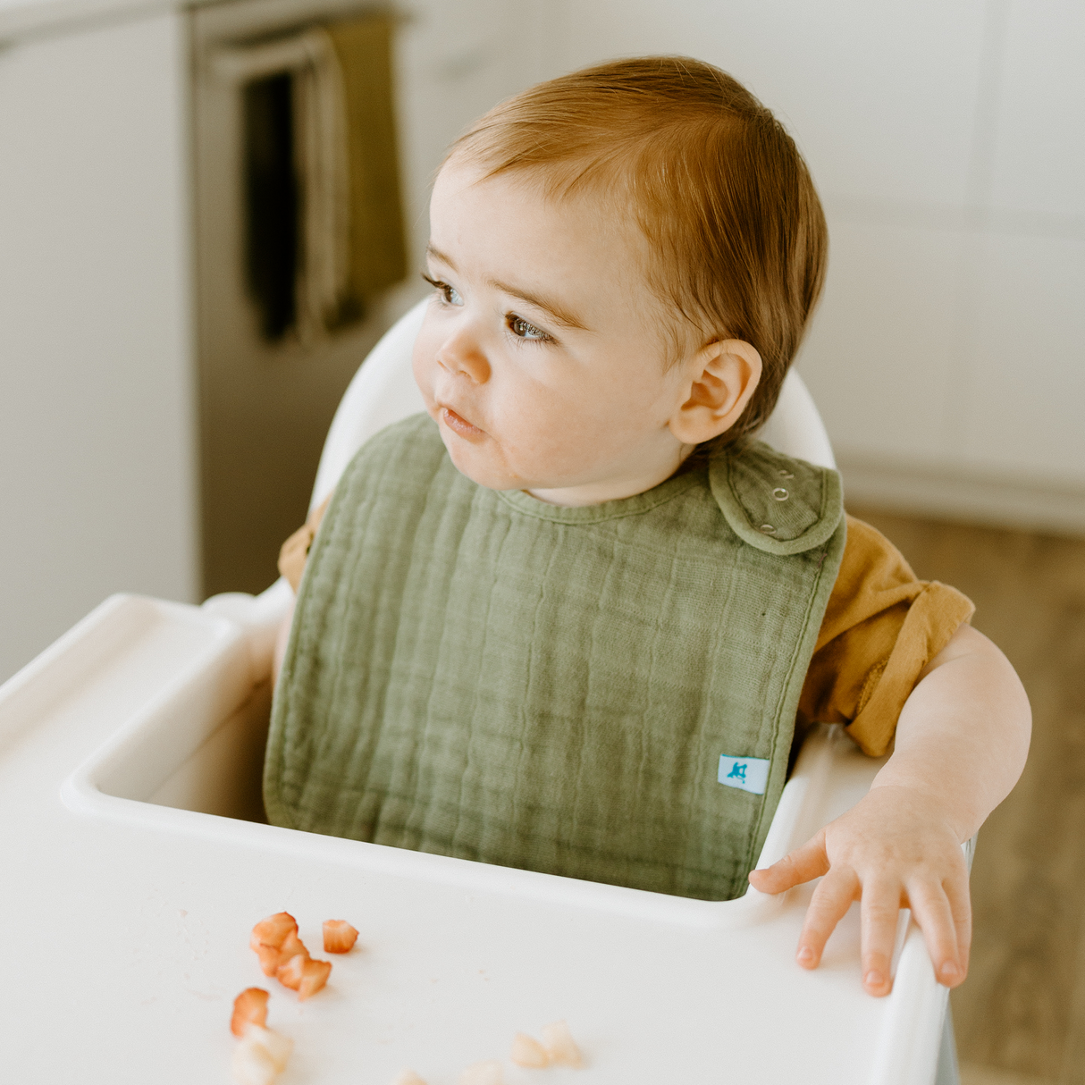 Cotton Muslin Classic Bib 3 Pack - Fern - HoneyBug