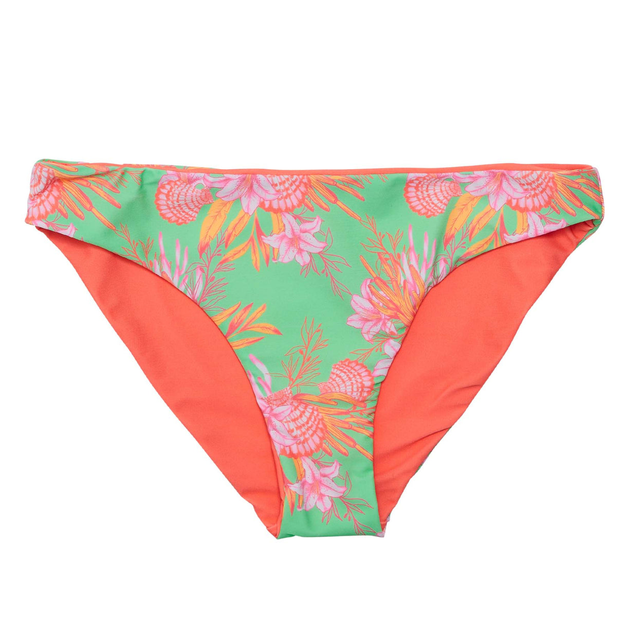 Womens Coastal Shells Sustainable Bikini Bottom - HoneyBug
