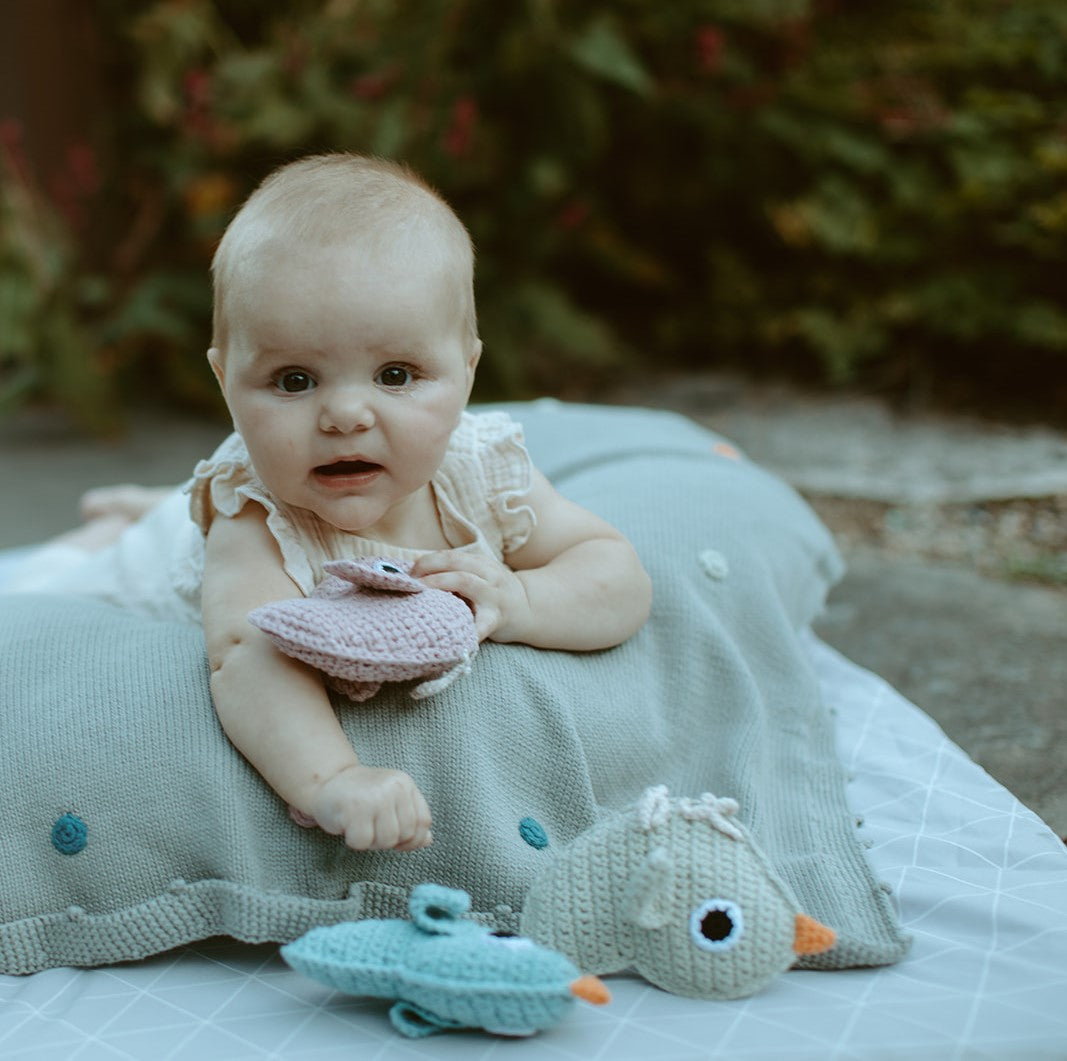 Little Bird Rattle - HoneyBug