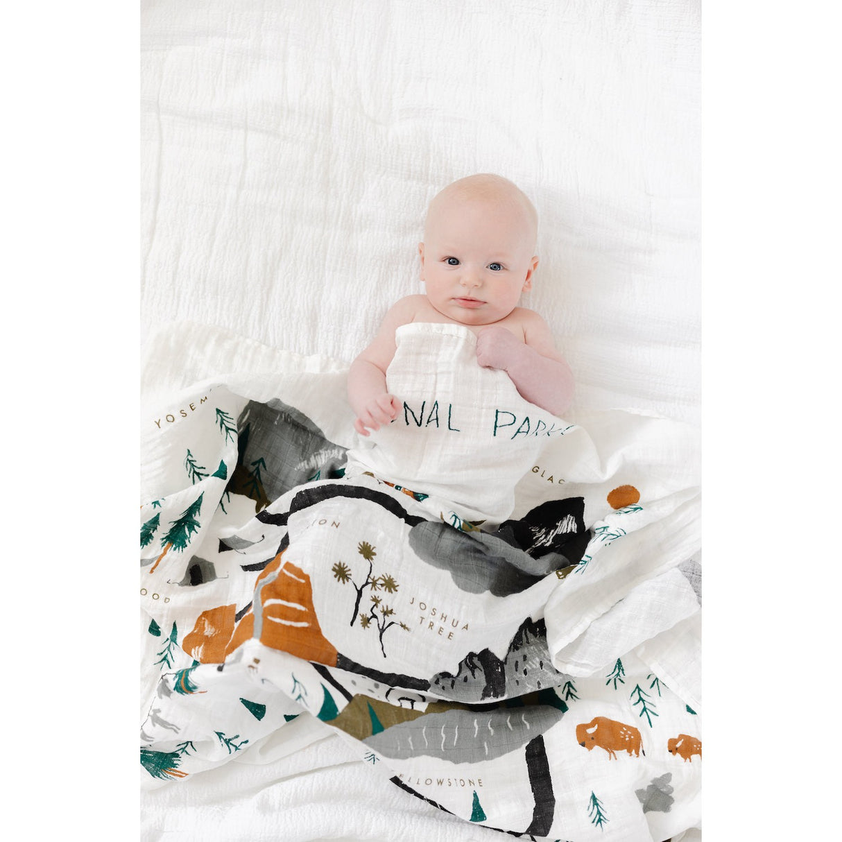 National Parks Swaddle - HoneyBug