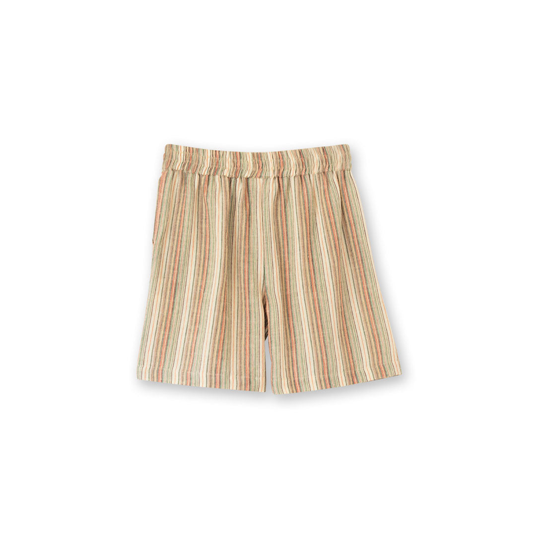 Boys Everyday Cotton Shorts | Mint Green Stripe - HoneyBug