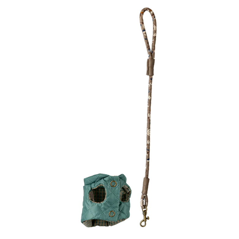 Pet supply, Harness and leash - Dark mint