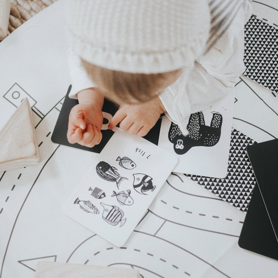 Counting Adventure Bundle - HoneyBug