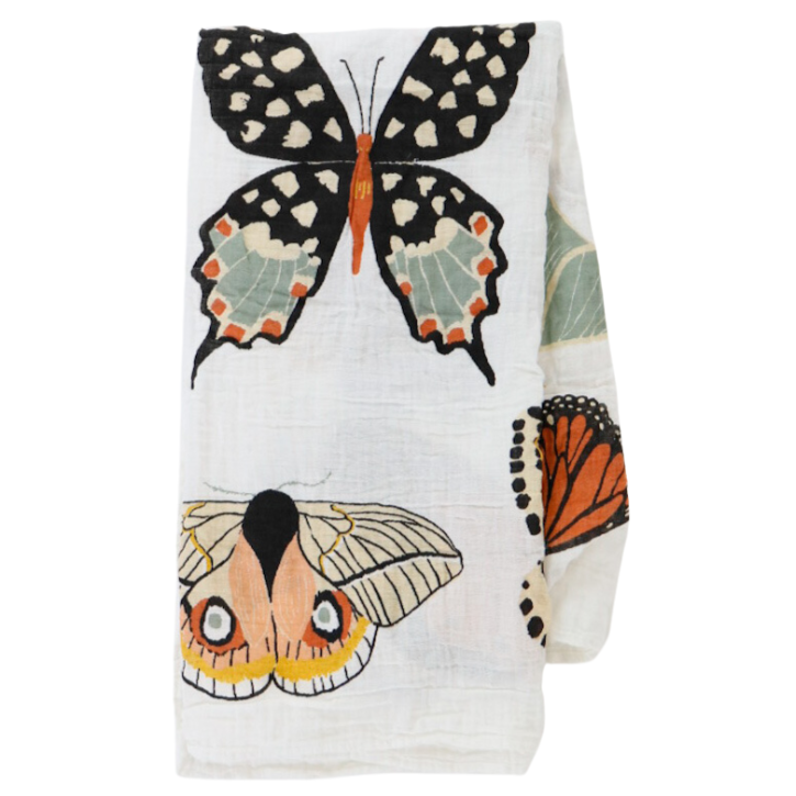 Butterfly Collector Swaddle - HoneyBug