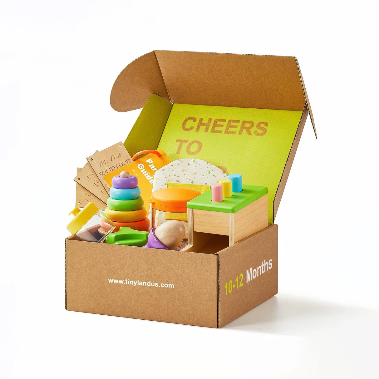 Tiny Land® Montessori Toys Set for Infants (10-12 month) - HoneyBug
