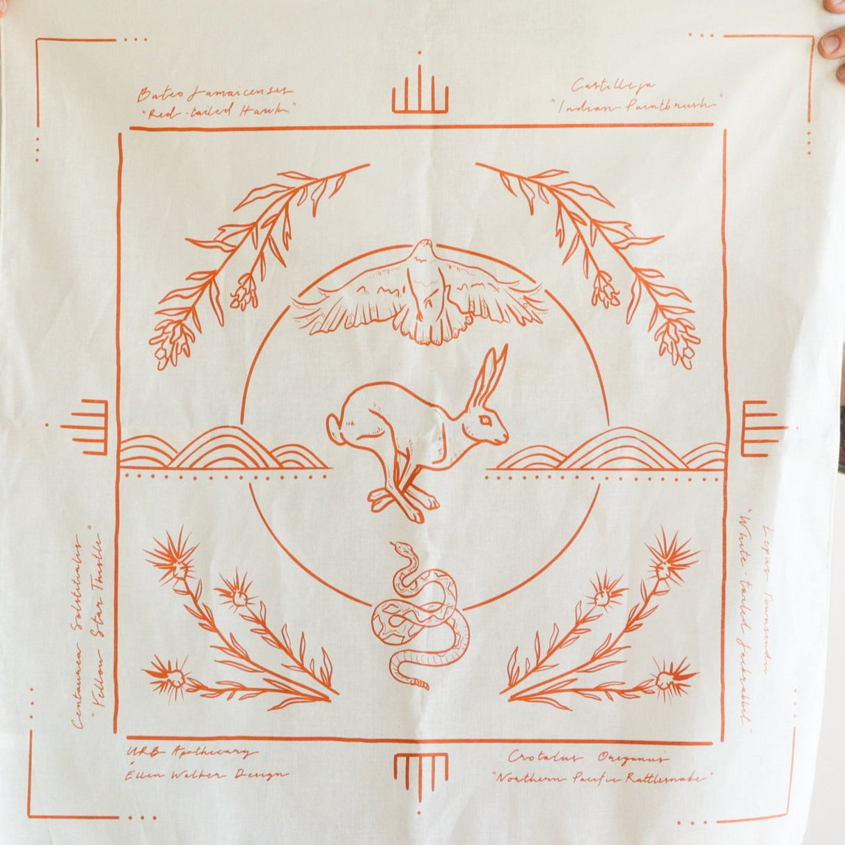Field Guide Collaborative Bandana