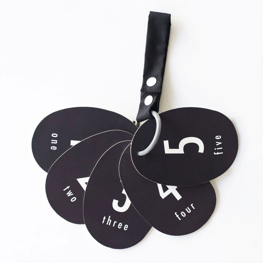 Stroller Cards - I See Bugs to Count - HoneyBug