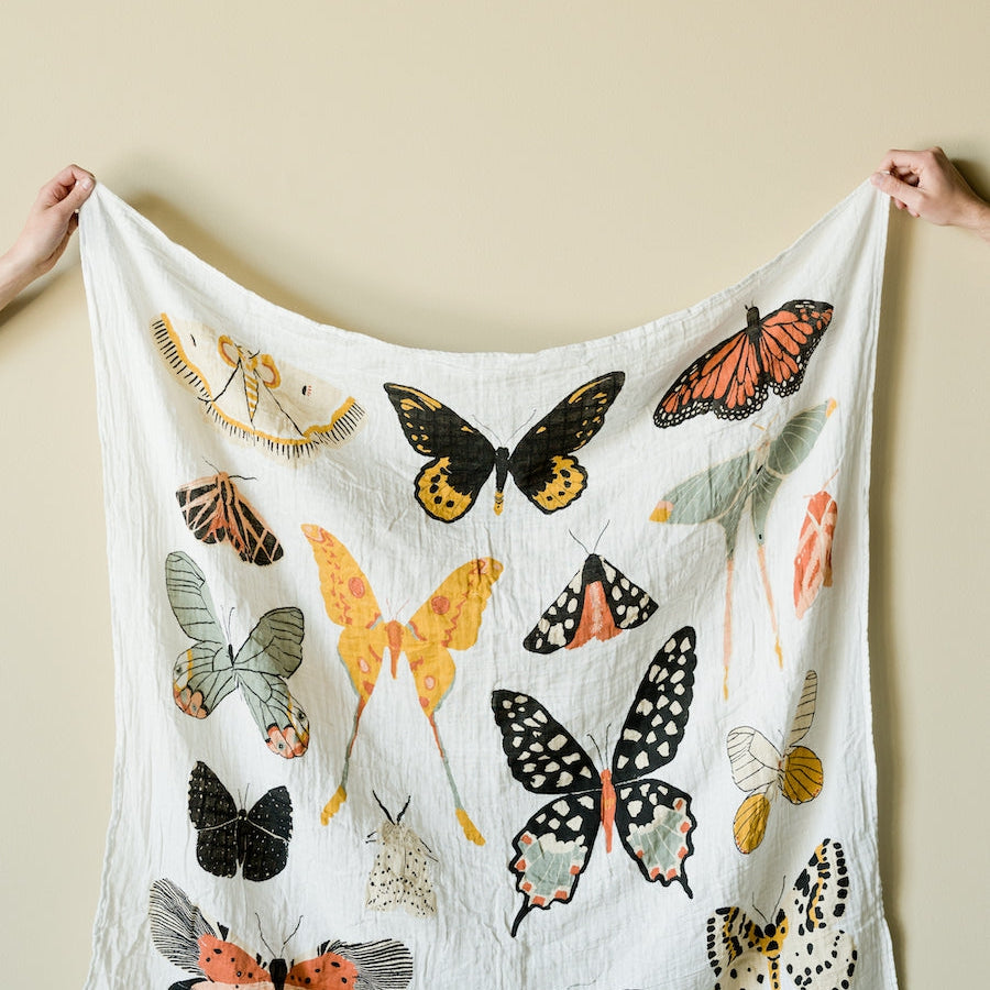 Butterfly Collector Swaddle - HoneyBug