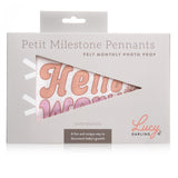 Flower Child Petit Milestone Pennant - HoneyBug 