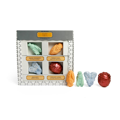 Insectarium Sidewalk Chalk