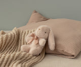 Baby Blanket - HoneyBug 