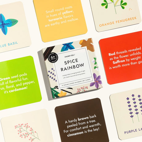 Spice Rainbow Art Cards - HoneyBug 