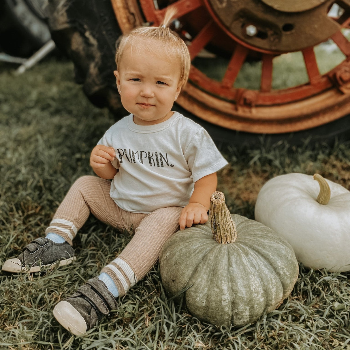 graphic tee | pumpkin - HoneyBug 