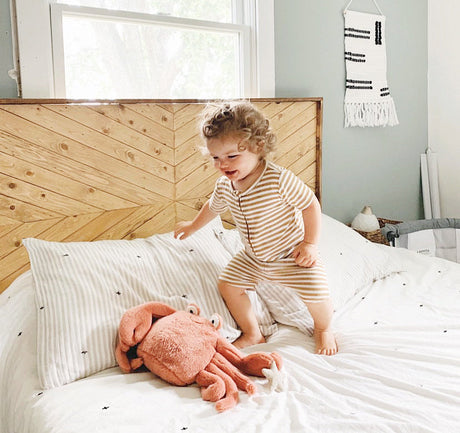 Caldwell Crab Plush Toy - HoneyBug 