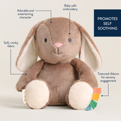 Sweetie Snuggles™ Plush - Billie the Bunny - HoneyBug 