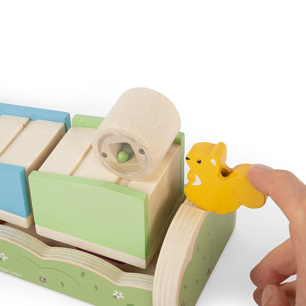 Squirrel Ramp Sorter - HoneyBug 