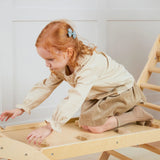 Tiny Land® 7-in-1 Montessori Climbing Set - HoneyBug 