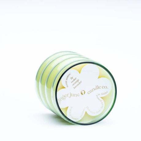 Take It Easy • Green • 9 oz Soy Candle - HoneyBug 