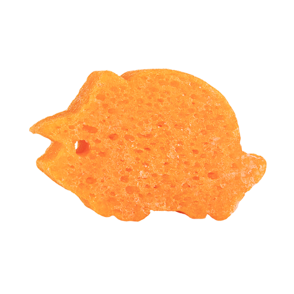 Tina Triceratops | Spongeasaurus Dinosaur Buffer - HoneyBug 