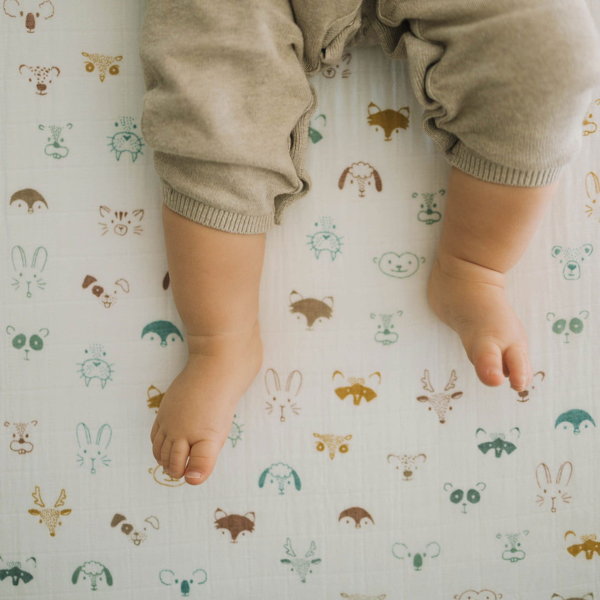 Cotton Muslin Crib Sheet - Animal Crowd - HoneyBug 