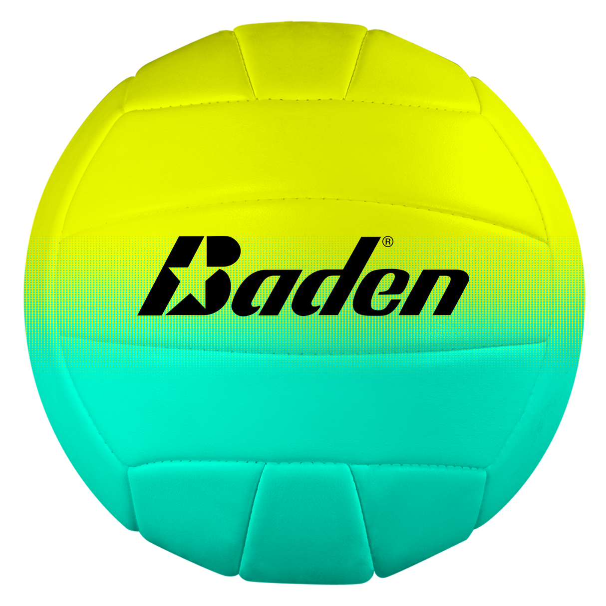 Baden Paradise Volleyballs - HoneyBug 