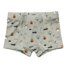 Boy's Boxer