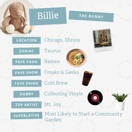 Sweetie Snuggles™ Plush - Billie the Bunny - HoneyBug 