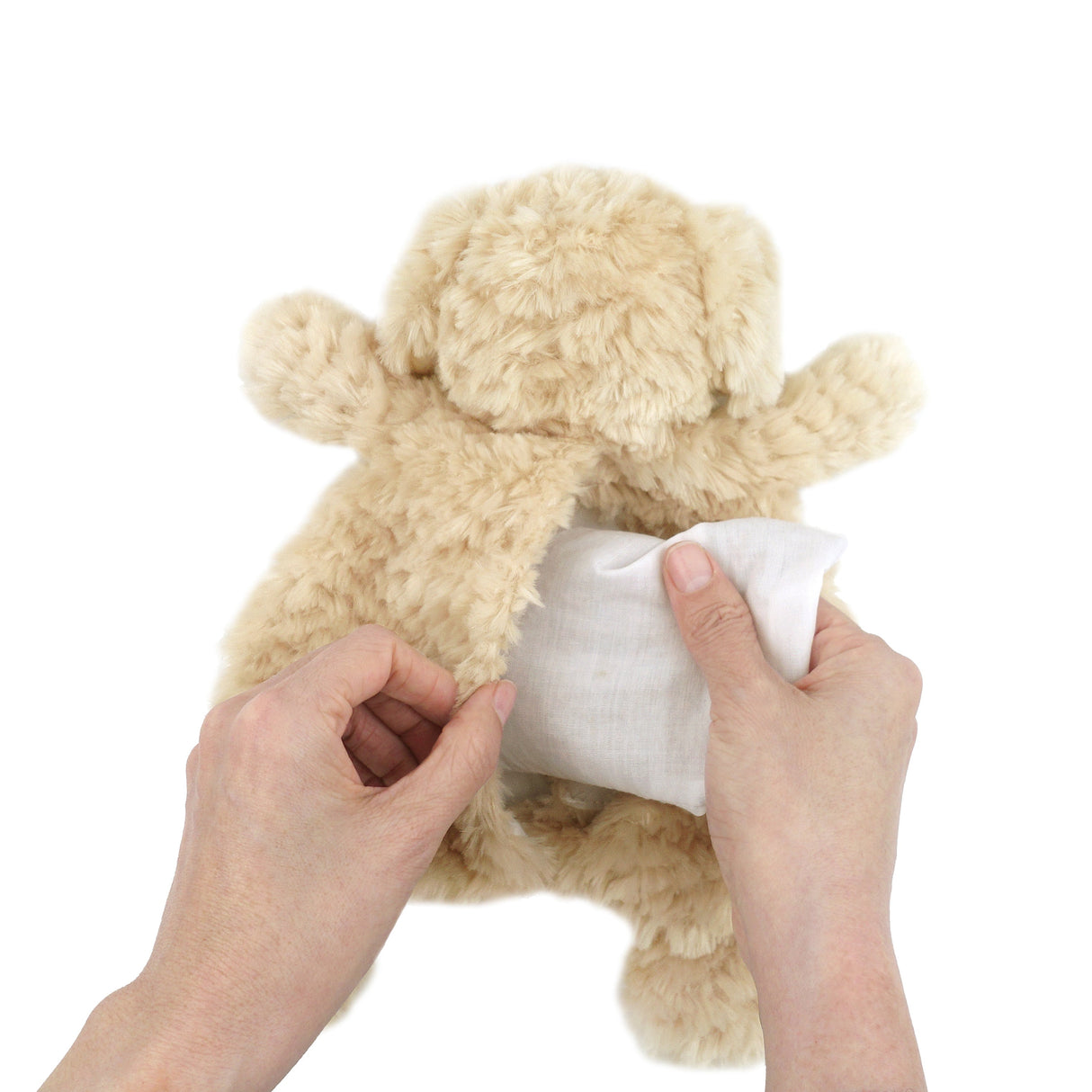 Bentley Golden Doodle - CuddleBuds - HoneyBug 