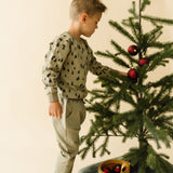 Organic Fleece Sweatshirt - Alpine - HoneyBug 