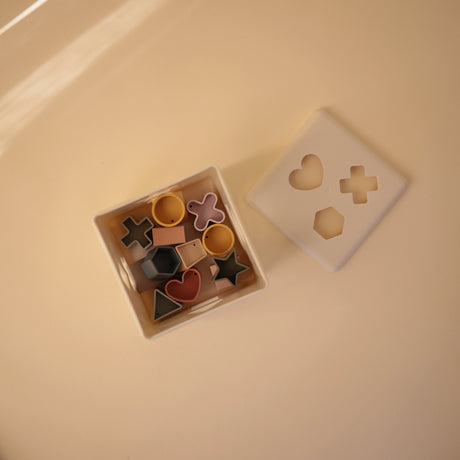 Shape Sorting Box - HoneyBug 