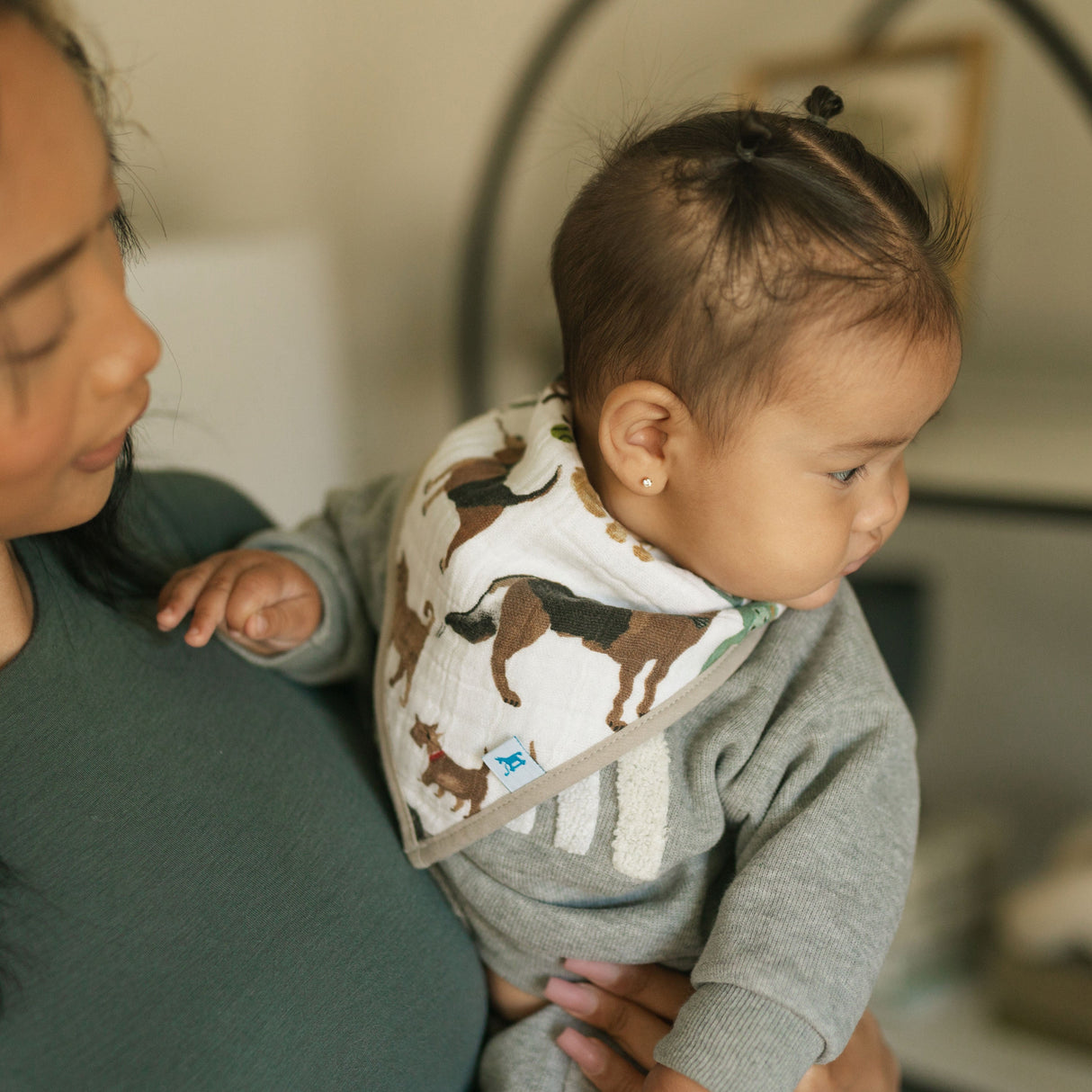 Cotton Muslin + Fleece Bandana Bib 4 Pack - Woof - HoneyBug 