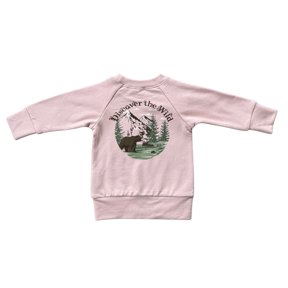 Girl's Raglan Sweatshirt - HoneyBug 