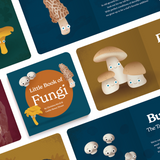 Little Books: Tasty Collection - HoneyBug 