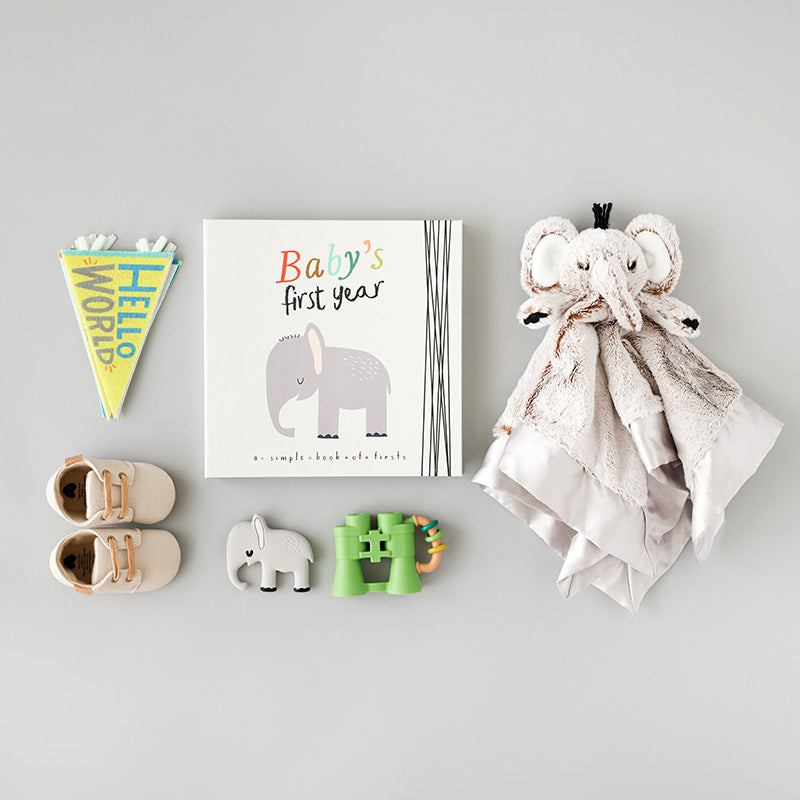 Little Animal Lover Memory Baby Book - HoneyBug 