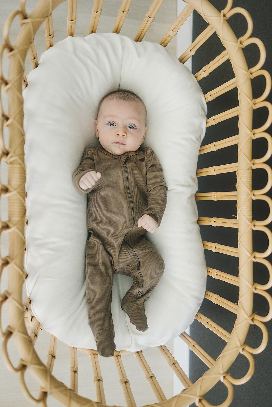 Cocoa Organic Cotton Ribbed Zipper - HoneyBug 